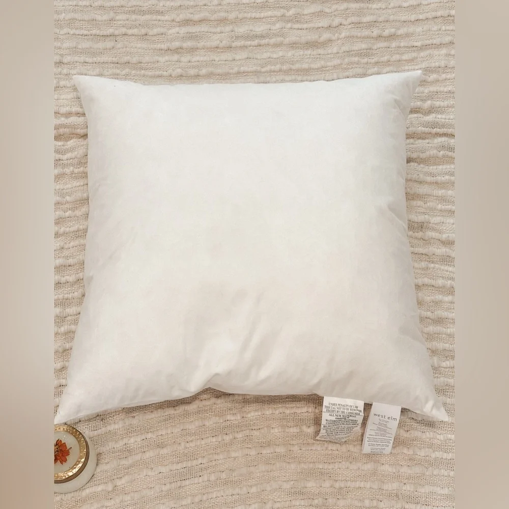 COPY - West Elm 20x20 Decorative Pillow Insert